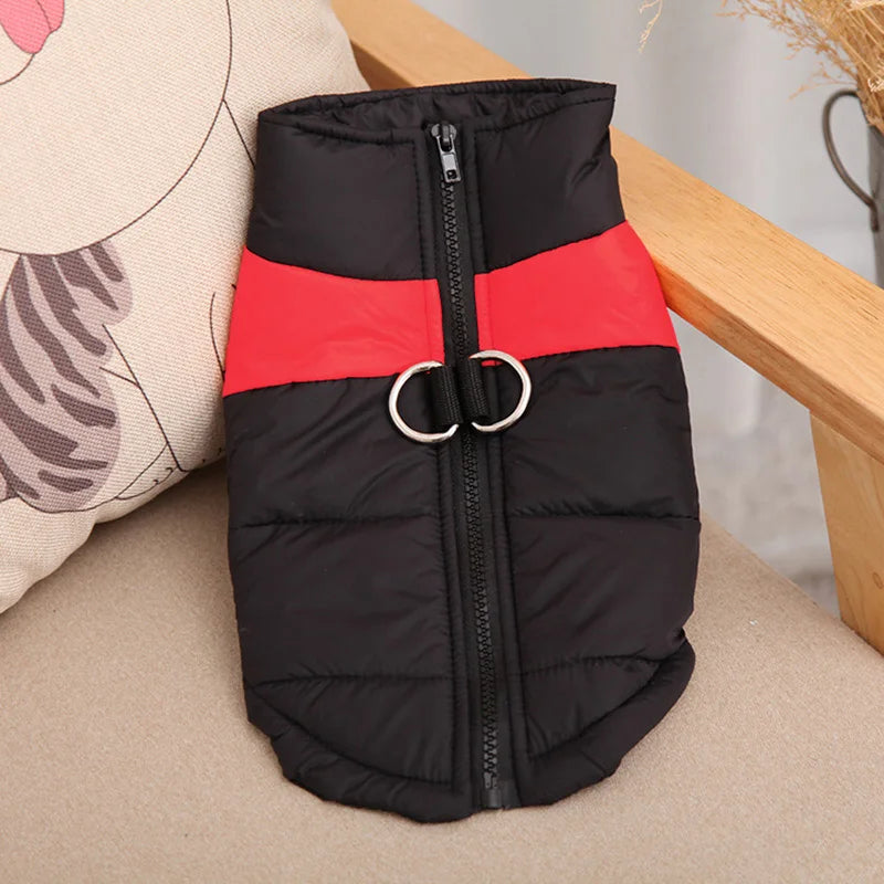 Chaleco acolchado impermeable para perro con arnés integrado