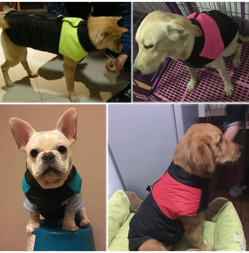 Chaleco acolchado impermeable para perro con arnés integrado