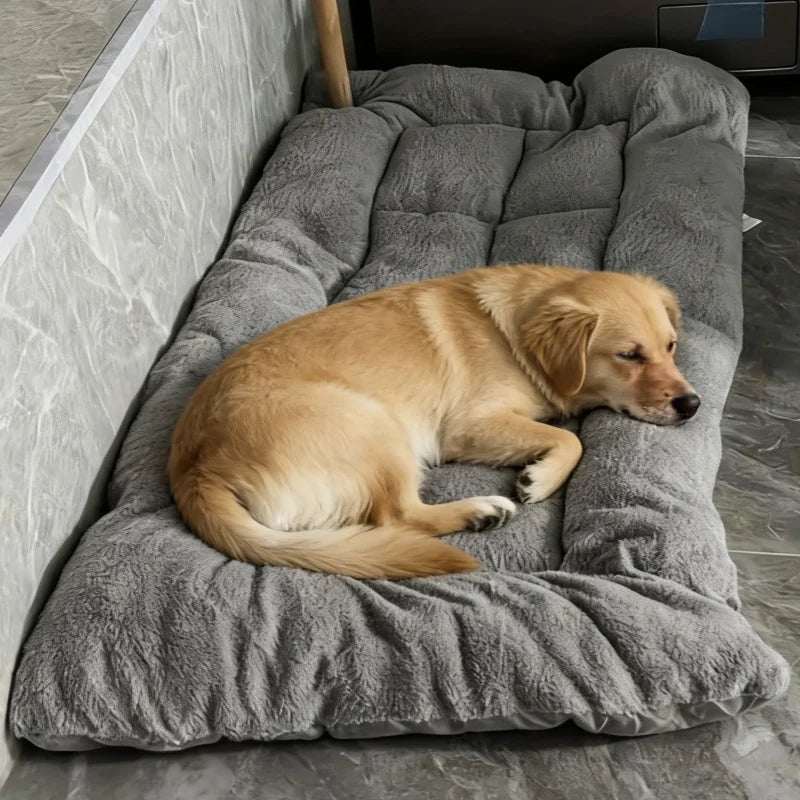 Cama acolchada confort