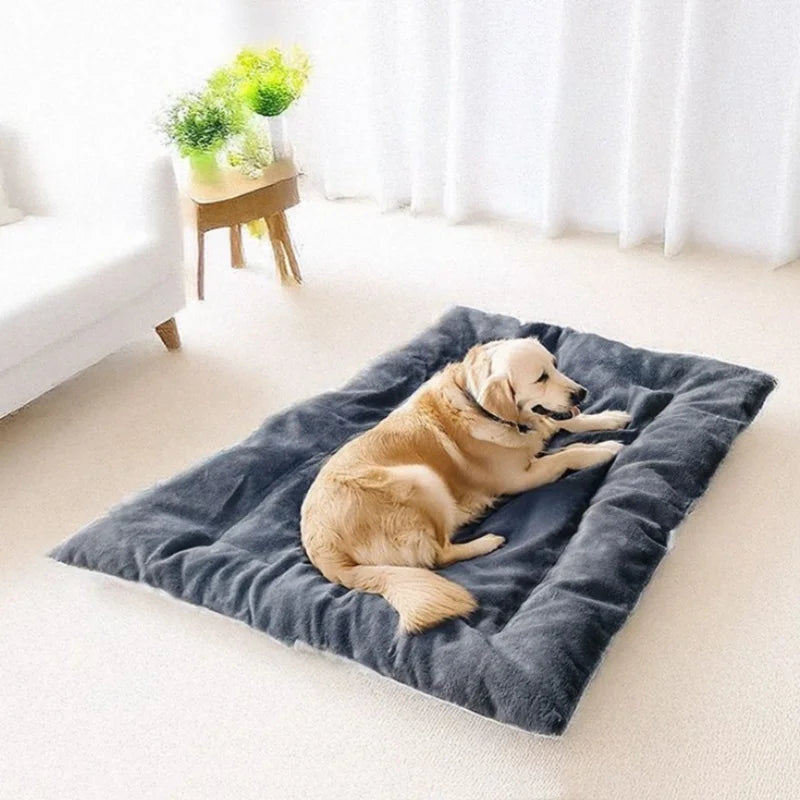 Cama acolchada confort