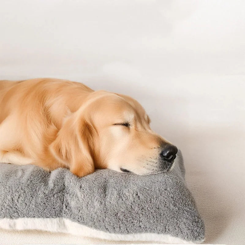 Cama acolchada confort